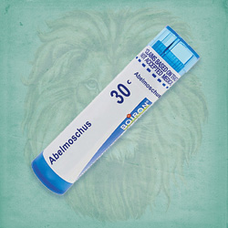 Buy 80 pellets of Abelmoschus 30c ~ UPC 306960001133 by Boiron from The Homeopathy Lounge at House of Greco