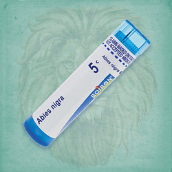 Buy 80 pellets of Abies Nigra 5c ~ UPC 306960002079 by Boiron from The Homeopathy Lounge at House of Greco