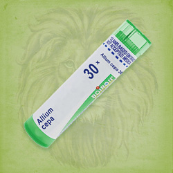 Buy 80 pellets of Allium Cepa 30x ~ UPC 306960032212 by Boiron from The Homeopathy Lounge at House of Greco