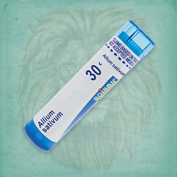 Buy 80 pellets of Allium Sativum 30c ~ UPC 306960033134 by Boiron from The Homeopathy Lounge at House of Greco