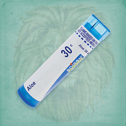 Buy 80 pellets of Aloe 30c ~ UPC 306960037132 by Boiron from The Homeopathy Lounge at House of Greco