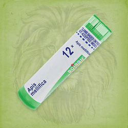 Buy 80 pellets of Apis Mellifica 12x ~ UPC 306960062011 by Boiron from The Homeopathy Lounge at House of Greco