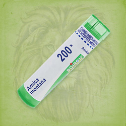 Buy 80 pellets of Arnica Montana 200x ~ UPC 306960075226 by Boiron from The Homeopathy Lounge at House of Greco