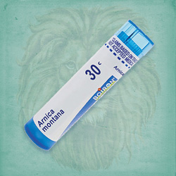 Buy Arnica Montana, 30c at House of Greco