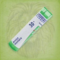 Buy 80 pellets of Arnica Montana 30x ~ UPC 306960075219 by Boiron from The Homeopathy Lounge at House of Greco