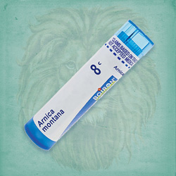 Buy 80 pellets of Arnica Montana 8c ~ UPC 306960075653 by Boiron from The Homeopathy Lounge at House of Greco