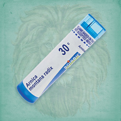 Buy 80 pellets of Arnica Montana Radix 30c ~ UPC 306960074137 by Boiron from The Homeopathy Lounge at House of Greco