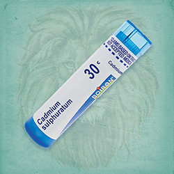 Buy 80 pellets of Cadmium Sulphuratum 30c ~ UPC 306961077137 by Boiron from The Homeopathy Lounge at House of Greco