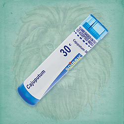 Buy 80 pellets of Cajuputum 30c ~ UPC 306960121138 by Boiron from The Homeopathy Lounge at House of Greco