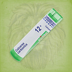 Buy 80 pellets of Calcarea Carbonica 12x ~ UPC 306960148012 by Boiron from The Homeopathy Lounge at House of Greco