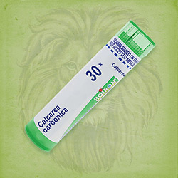 Buy 80 pellets of Calcarea Carbonica 30x ~ UPC 306960148210 by Boiron from The Homeopathy Lounge at House of Greco