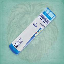 Buy 80 pellets of Calcarea Fluorica 5c ~ UPC 306960149071 by Boiron from The Homeopathy Lounge at House of Greco