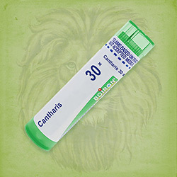 Buy 80 pellets of Cantharis 30x ~ UPC 306960163213 by Boiron from The Homeopathy Lounge at House of Greco