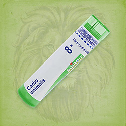 Buy 80 pellets of Carbo Animalis 8x ~ UPC 306960165064 by Boiron from The Homeopathy Lounge at House of Greco