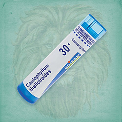 Buy 80 pellets of Caulophyllum Thalictroides 30c ~ UPC 306960179139 by Boiron from The Homeopathy Lounge at House of Greco