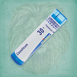 Buy 80 pellets of Causticum 30c ~ UPC 306960180135 by Boiron from The Homeopathy Lounge at House of Greco