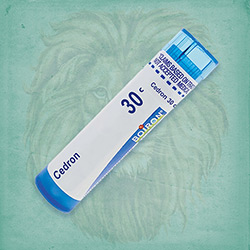 Buy 80 pellets of Cedron 30c ~ UPC 306960182139 by Boiron from The Homeopathy Lounge at House of Greco