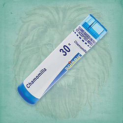 Buy 80 pellets of Chamomilla 30c ~ UPC 306960193135 by Boiron from The Homeopathy Lounge at House of Greco