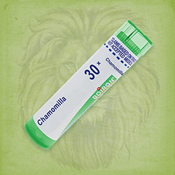 Buy 80 pellets of Chamomilla 30x ~ UPC 306960193210 by Boiron from The Homeopathy Lounge at House of Greco