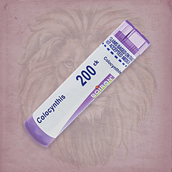 Buy 80 pellets of Colocynthis 200ck ~ UPC 306960227311 by Boiron from The Homeopathy Lounge at House of Greco