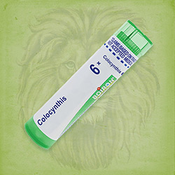 Buy 80 pellets of Colocynthis 6x ~ UPC 306960227038 by Boiron from The Homeopathy Lounge at House of Greco