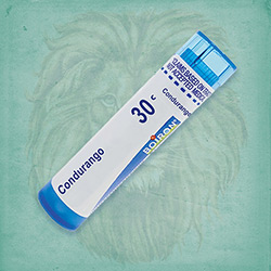 Buy 80 pellets of Condurango 30c ~ UPC 306960233138 by Boiron from The Homeopathy Lounge at House of Greco