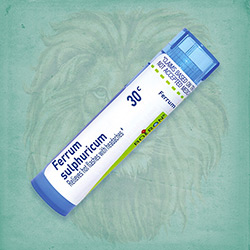 Buy 80 pellets of Ferrum Sulphuricum 30c ~ UPC 306960308133 by Boiron from The Homeopathy Lounge at House of Greco