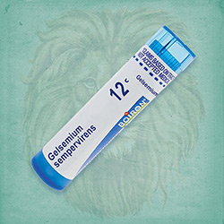 Buy 80 pellets of Gelsemium Sempervirens 12c ~ UPC 306960333111 by Boiron from The Homeopathy Lounge at House of Greco