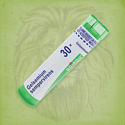 Buy 80 pellets of Gelsemium Sempervirens 30x ~ UPC 306960333210 by Boiron from The Homeopathy Lounge at House of Greco