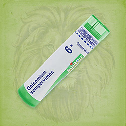 Buy 80 pellets of Gelsemium Sempervirens 6x ~ UPC 306960333036 by Boiron from The Homeopathy Lounge at House of Greco