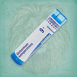 Buy 80 pellets of Gelsemium Sempervirens 9c ~ UPC 306960333104 by Boiron from The Homeopathy Lounge at House of Greco