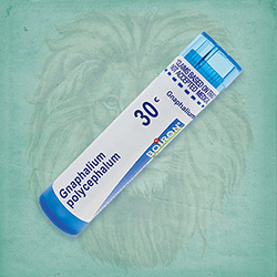 Buy 80 pellets of Gnaphalium Polycephalum 30c ~ UPC 306960346135 by Boiron from The Homeopathy Lounge at House of Greco