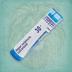 Buy 80 pellets of Hepar Sulphuris Calcareum 30c ~ UPC 306960363132 by Boiron from The Homeopathy Lounge at House of Greco