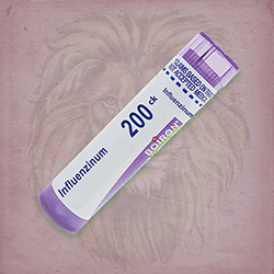 Buy 80 pellets of Influenzinum 200ck ~ UPC 306960909316 by Boiron from The Homeopathy Lounge at House of Greco