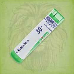 Buy 80 pellets of Influenzinum 30x ~ UPC 306960909217 by Boiron from The Homeopathy Lounge at House of Greco