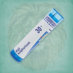 Buy 80 pellets of Kali Sulphuricum 30c ~ UPC 306960408130 by Boiron from The Homeopathy Lounge at House of Greco