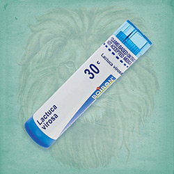 Buy 80 pellets of Lactuca Virosa 30c ~ UPC 306960417132 by Boiron from The Homeopathy Lounge at House of Greco