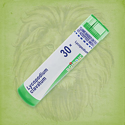 Buy 80 pellets of Lycopodium Clavatum 30x ~ UPC 306960449218 by Boiron from The Homeopathy Lounge at House of Greco