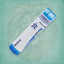 Buy 80 pellets of Medusa 30c ~ UPC 306960466130 by Boiron from The Homeopathy Lounge at House of Greco