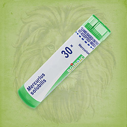 Buy 80 pellets of Mercurius Solubilis 30x ~ UPC 306960483212 by Boiron from The Homeopathy Lounge at House of Greco