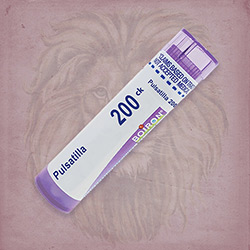 Buy 80 pellets of Pulsatilla 200ck ~ UPC 306960606314 by Boiron from The Homeopathy Lounge at House of Greco