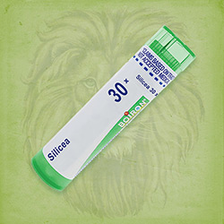 Buy 80 pellets of Silicea 30x ~ UPC 306960684213 by Boiron from The Homeopathy Lounge at House of Greco