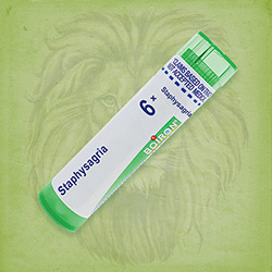 Buy 80 pellets of Staphysagria 6x ~ UPC 306960701033 by Boiron from The Homeopathy Lounge at House of Greco