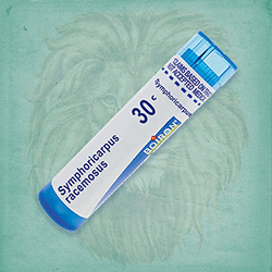 Buy 80 pellets of Symphoricarpus Racemosus 30c ~ UPC 306960706137 by Boiron from The Homeopathy Lounge at House of Greco